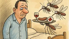 Vic: Sinoči so se komarji tako napili krvi