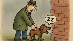 Vic: Zjutraj je bila takšna megla, da...