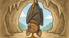 Vic: Kaj je najslabše spečemu netopirju res?